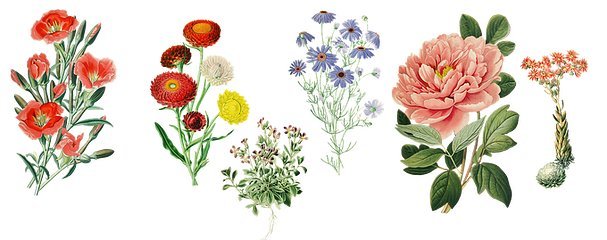 復(fù)古花卉靈感在家具設(shè)計(jì)中的優(yōu)雅綻放